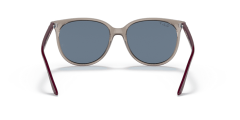 Transparent Grey - 0RB4378 8056597626873
