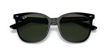 Black - 0RB4379D 8056597665544