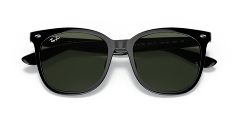 Black - 0RB4379D 8056597665544