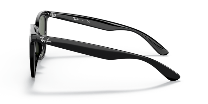 Black - 0RB4379D 8056597665544