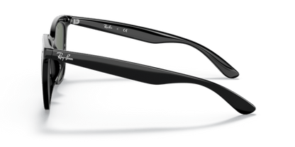 Black - 0RB4379D 8056597665544