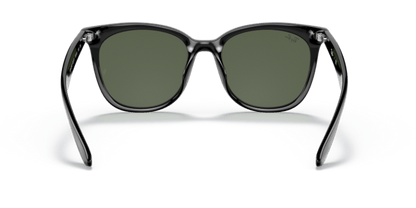 Black - 0RB4379D 8056597665544