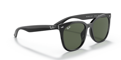 Black - 0RB4379D 8056597665544