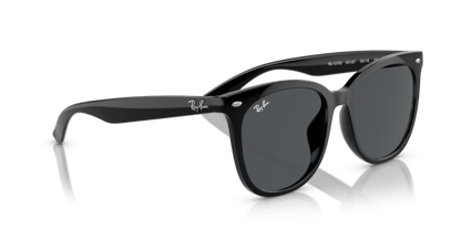Black - 0RB4379D 8056597846363