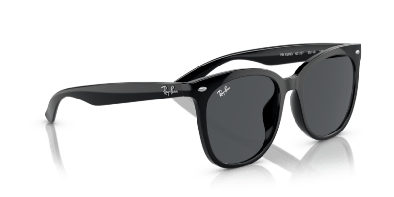 Black - 0RB4379D 8056597846363