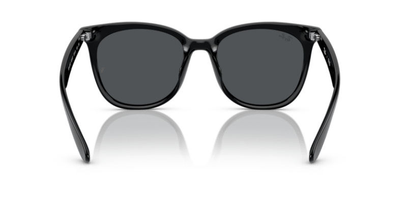 Black - 0RB4379D 8056597846363