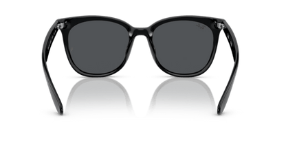 Black - 0RB4379D 8056597846363