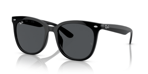 Black - 0RB4379D 8056597846363