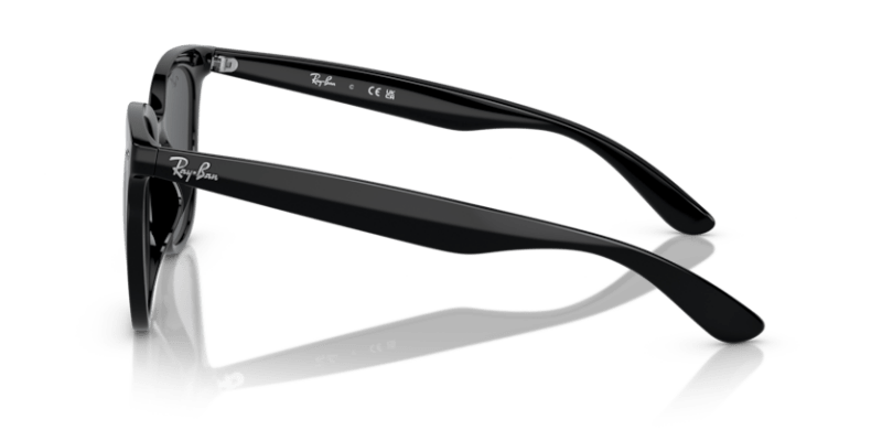 Black - 0RB4379D 8056597846363