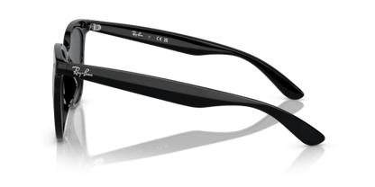 Black - 0RB4379D 8056597846363