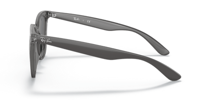 Transparent Grey - 0RB4379D 8056597665568