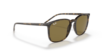 Light Havana - 0RB4387 8053672169355