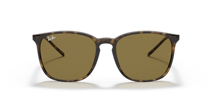 Light Havana - 0RB4387 8053672169355