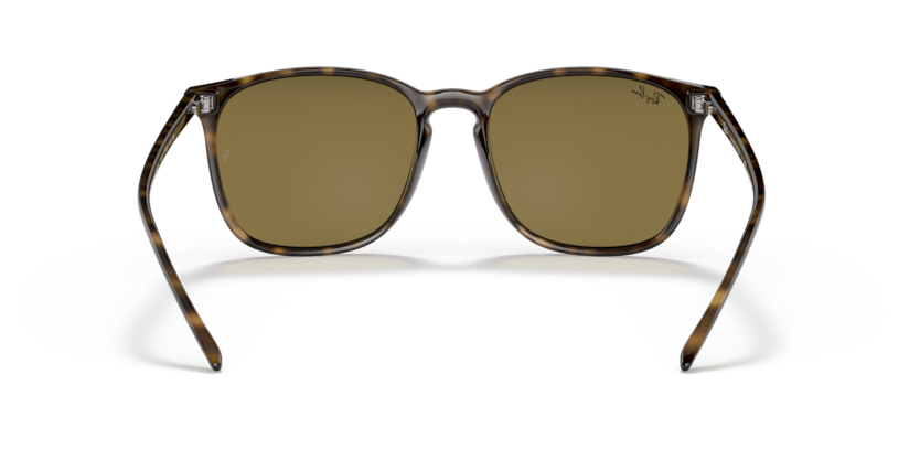 Light Havana - 0RB4387 8053672169355