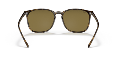 Light Havana - 0RB4387 8053672169355