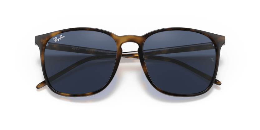 Havana - 0RB4387 8056597687157