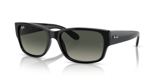 Black - 0RB4388 8056597719346
