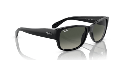 Black - 0RB4388 8056597719346