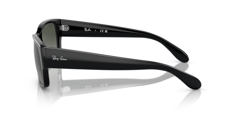 Black - 0RB4388 8056597719346