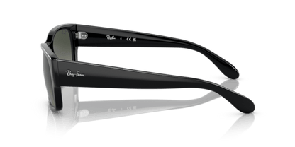 Black - 0RB4388 8056597719346