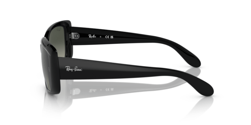 Black - 0RB4389 8056597718349