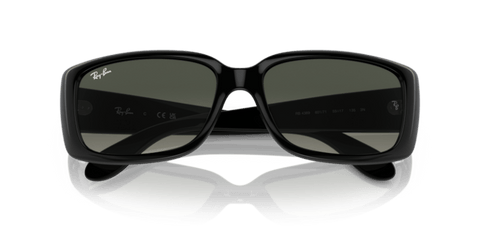 Black - 0RB4389 8056597718349