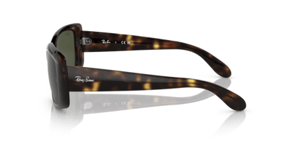 Havana - 0RB4389 8056597718424