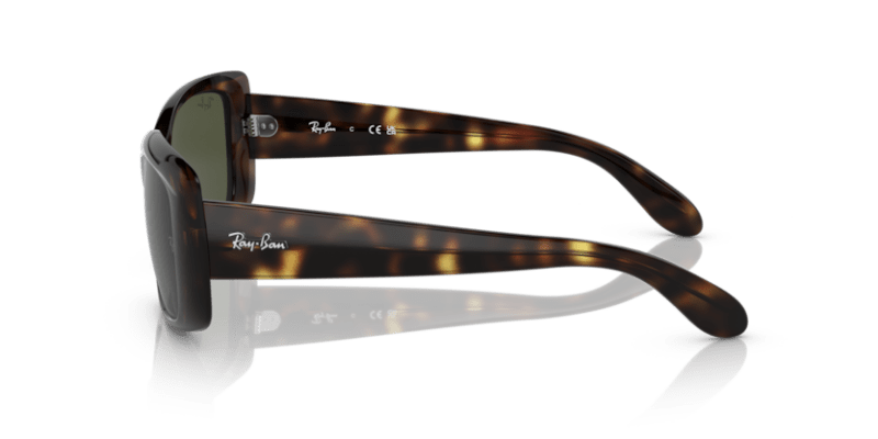 Havana - 0RB4389 8056597718424