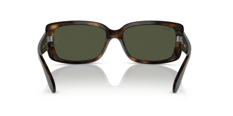 Havana - 0RB4389 8056597718424