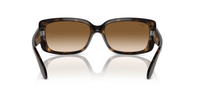 Havana - 0RB4389 8056262052068