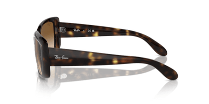 Havana - 0RB4389 8056262052068