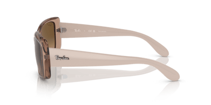 Transparent Brown - 0RB4389 8056597718394