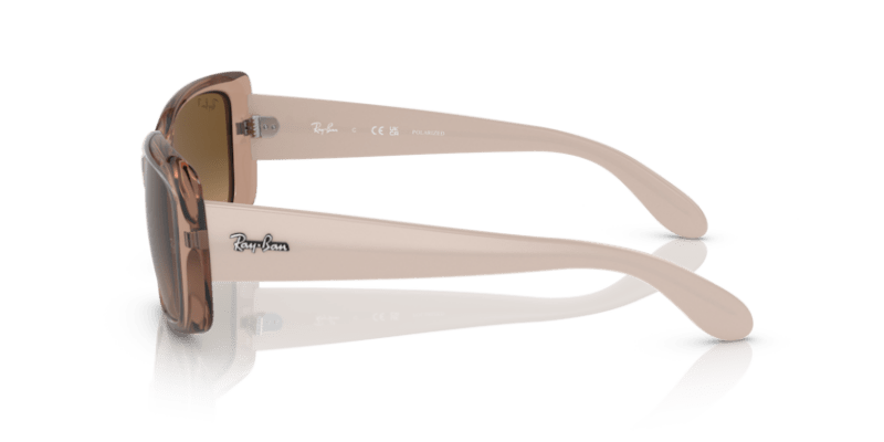 Transparent Brown - 0RB4389 8056597718394