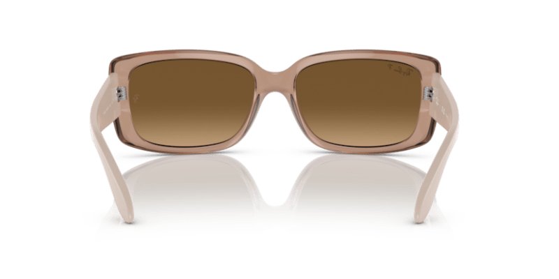 Transparent Brown - 0RB4389 8056597718394