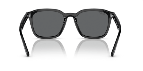 Black - 0RB4392D 8056597953498