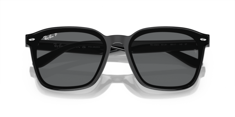 Black - 0RB4392D 8056597953498