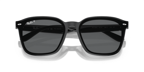 Black - 0RB4392D 8056597953498