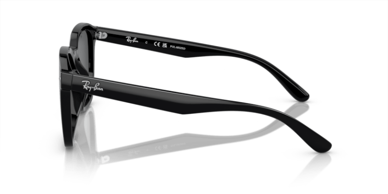 Black - 0RB4392D 8056597953498