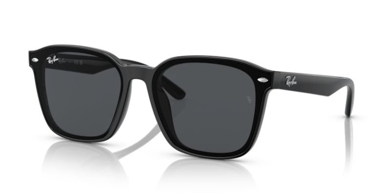 Black - 0RB4392D 8056597714129