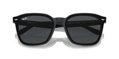 Black - 0RB4392D 8056597714129