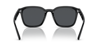 Black - 0RB4392D 8056597714129
