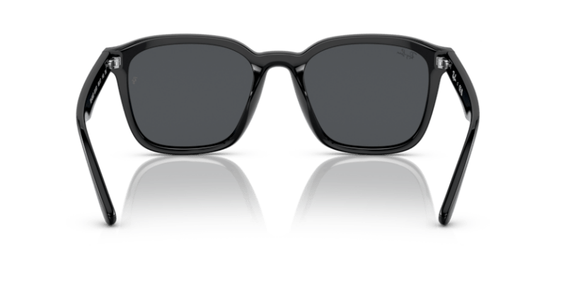 Black - 0RB4392D 8056597714129