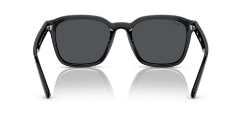 Black - 0RB4392D 8056597714129