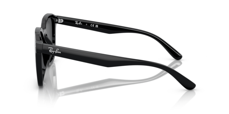 Black - 0RB4392D 8056597714129