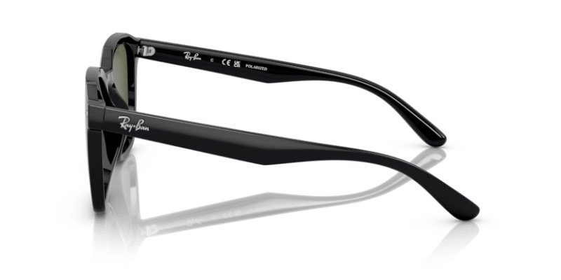 Black - 0RB4392D 8056597714136