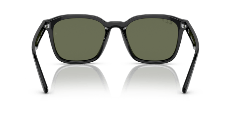 Black - 0RB4392D 8056597714136