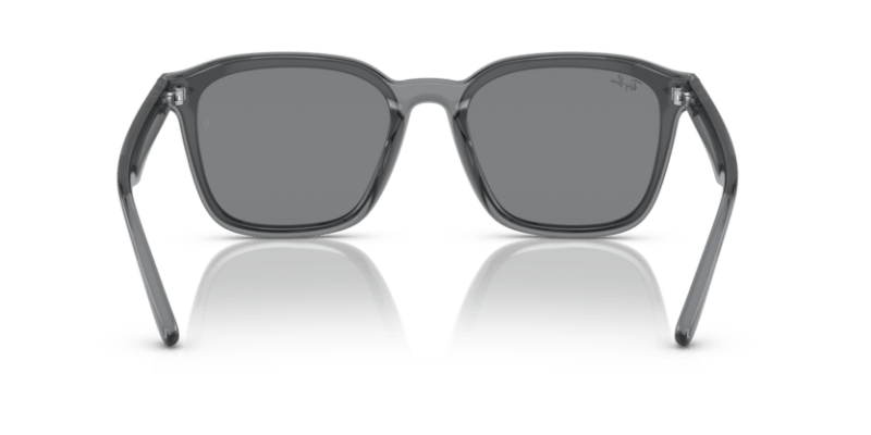 Transparent Grey - 0RB4392D 8056597714143