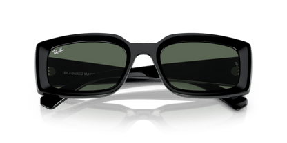 Black - 0RB4395 8056597829304