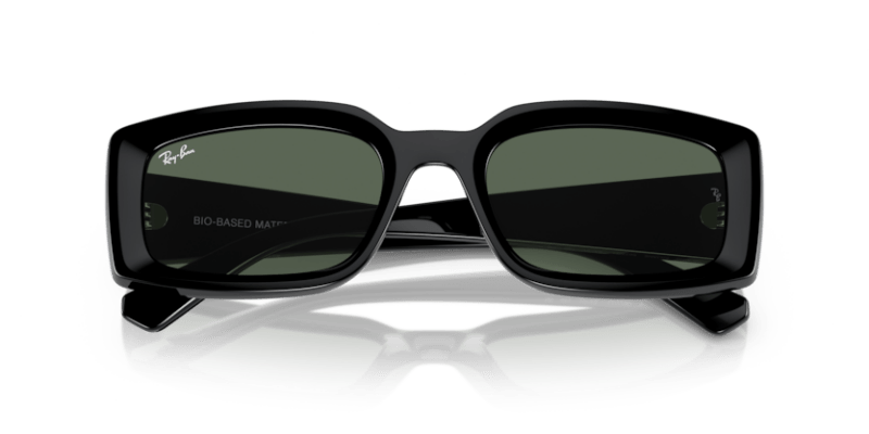 Black - 0RB4395 8056597829304