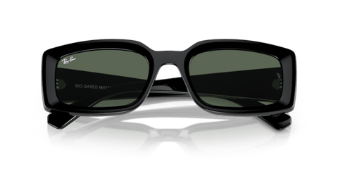 Black - 0RB4395 8056597829304